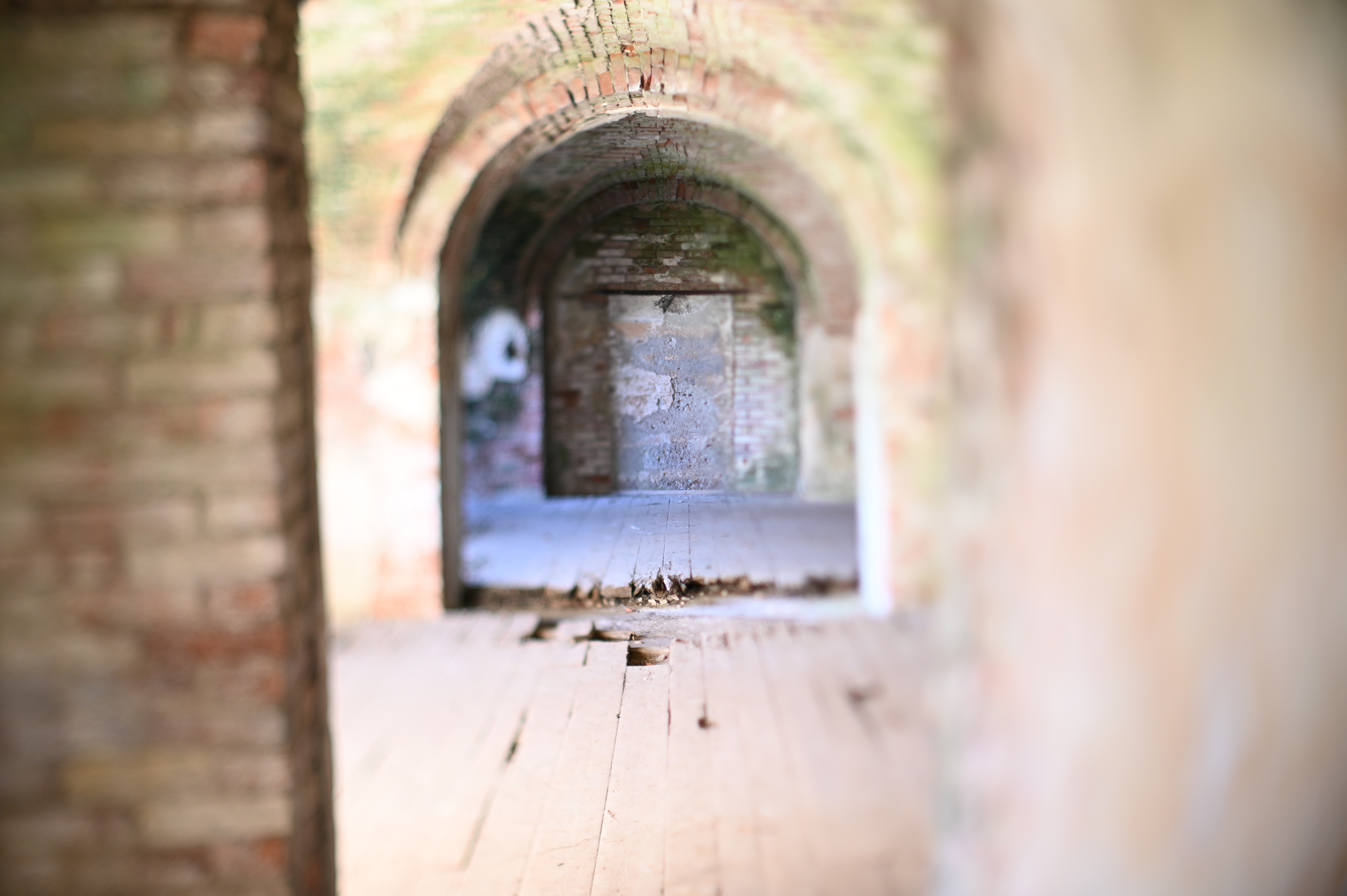 2025/10/18 - walk/DSC_0056.JPG